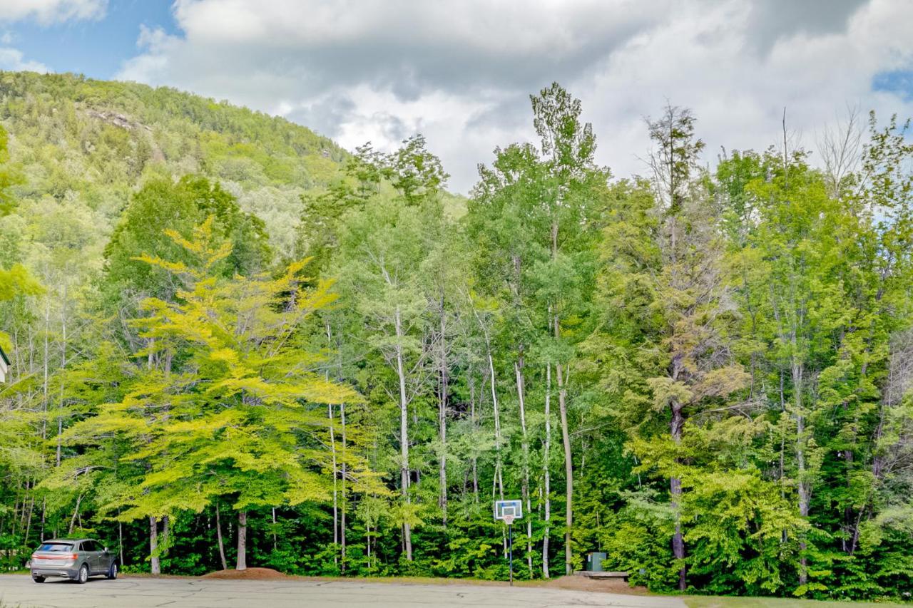 White Mountain Retreat Διαμέρισμα Λίνκολν Εξωτερικό φωτογραφία